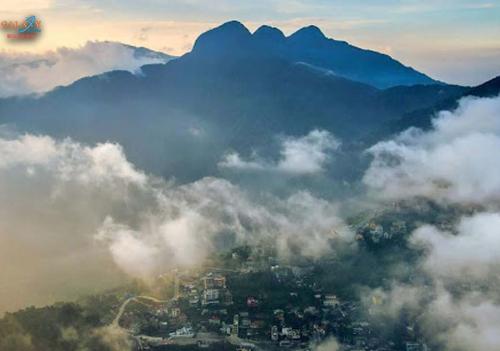 Tam Đảo – Thị Trấn Mờ Sương Giữa Núi Rừng Vĩnh Phúc