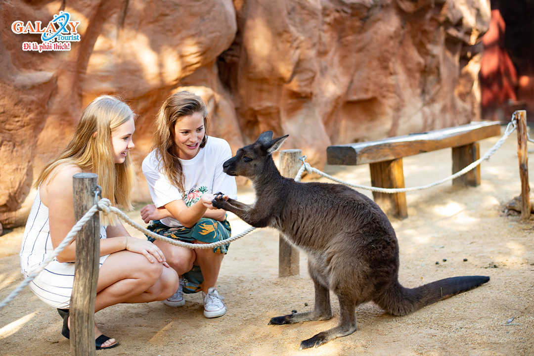 Ngày 3: SYDNEY – BLUE MOUNTAIN – SYDNEY ZOO-Công Ty TNHH Dịch Vụ Du Lịch Galaxy