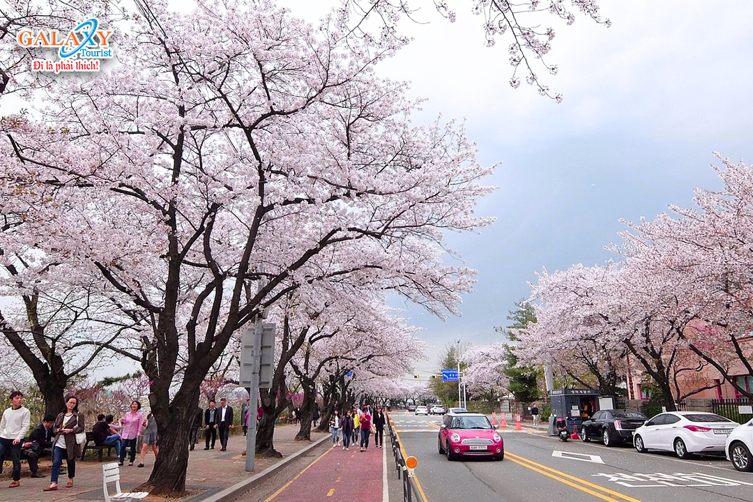 Ngày 4: Seoul - Công viên gải trí-Công Ty TNHH Dịch Vụ Du Lịch Galaxy
