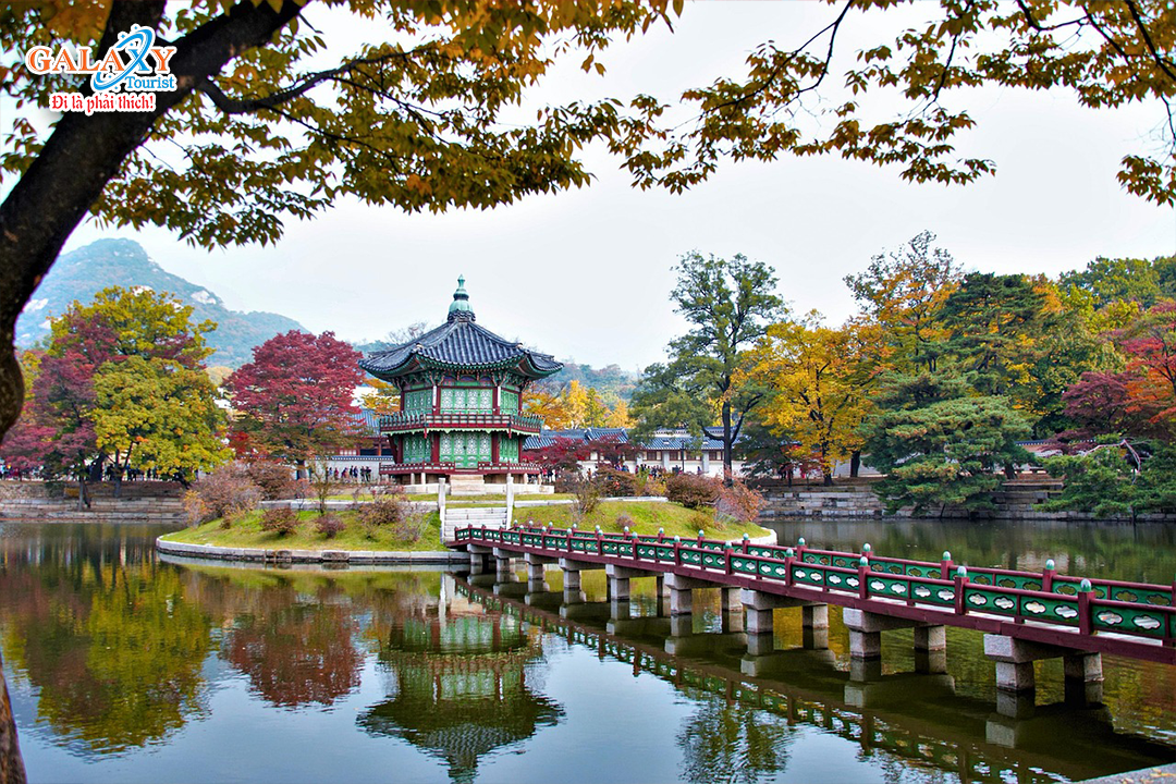 Ngày 2: Seoul - Đảo Nami - Tháp N Seoul-Công Ty TNHH Dịch Vụ Du Lịch Galaxy