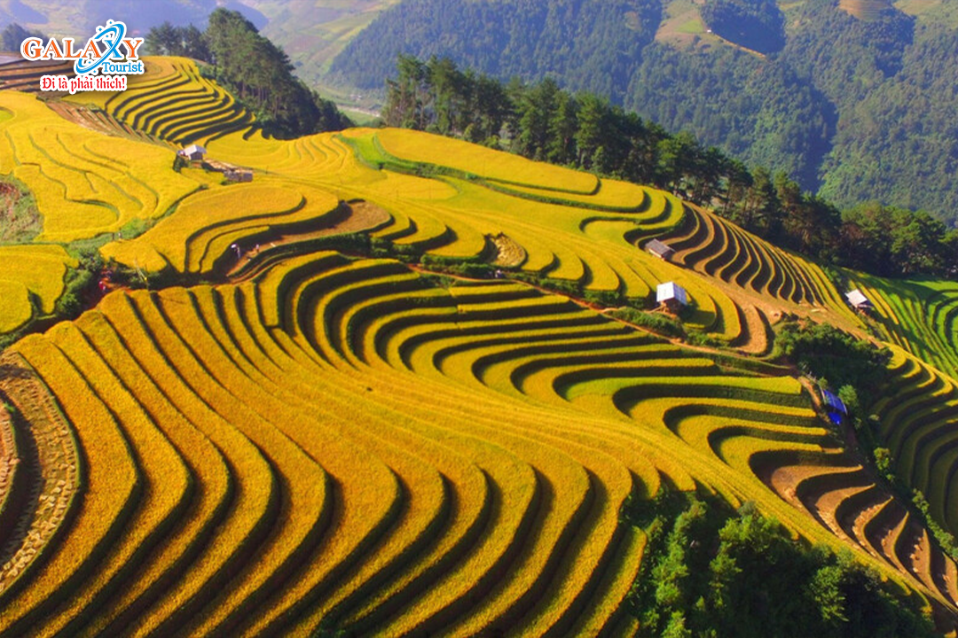 Ngày 5: SAPA – NỘI BÀI – CẦN THƠ-Công Ty TNHH Dịch Vụ Du Lịch Galaxy