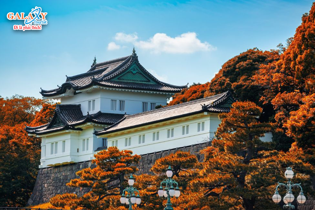 Ngày 4: YAMANASHI – TOKYO – NARITA-Công Ty TNHH Dịch Vụ Du Lịch Galaxy